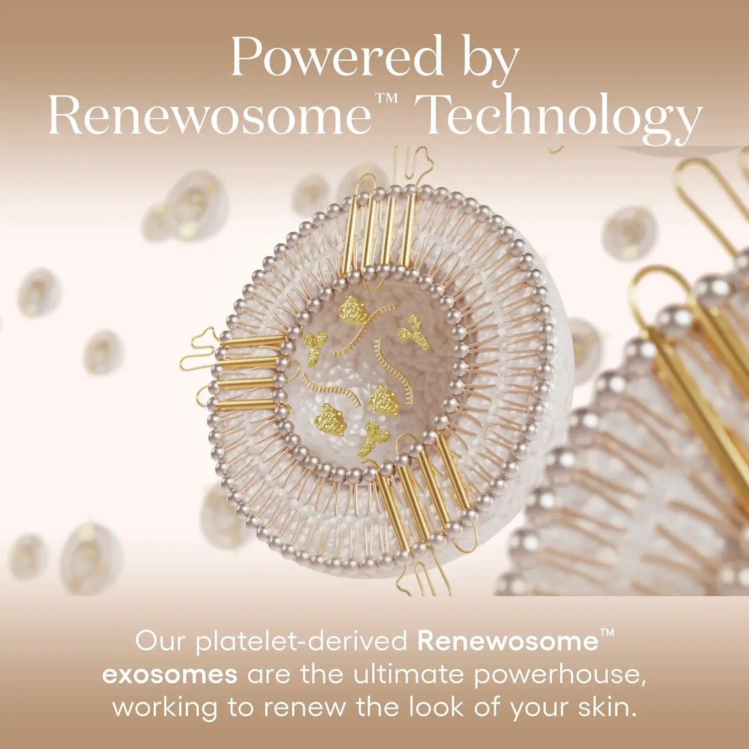 ( plated ) DAILY Serum – Exosome Serum for Hydration &amp; Skin Renewal