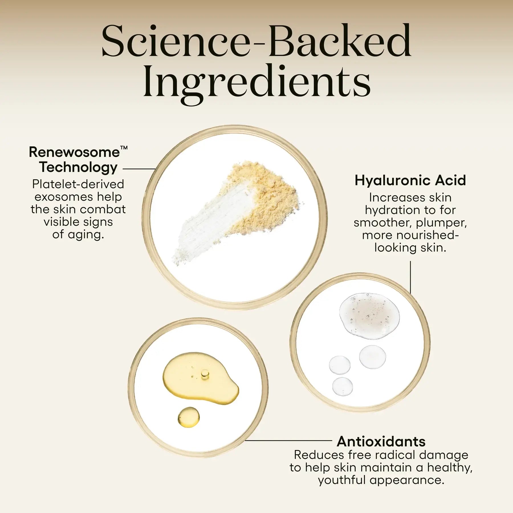 ( plated ) INTENSE Serum – Advanced Exosome Skin Renewal Serum